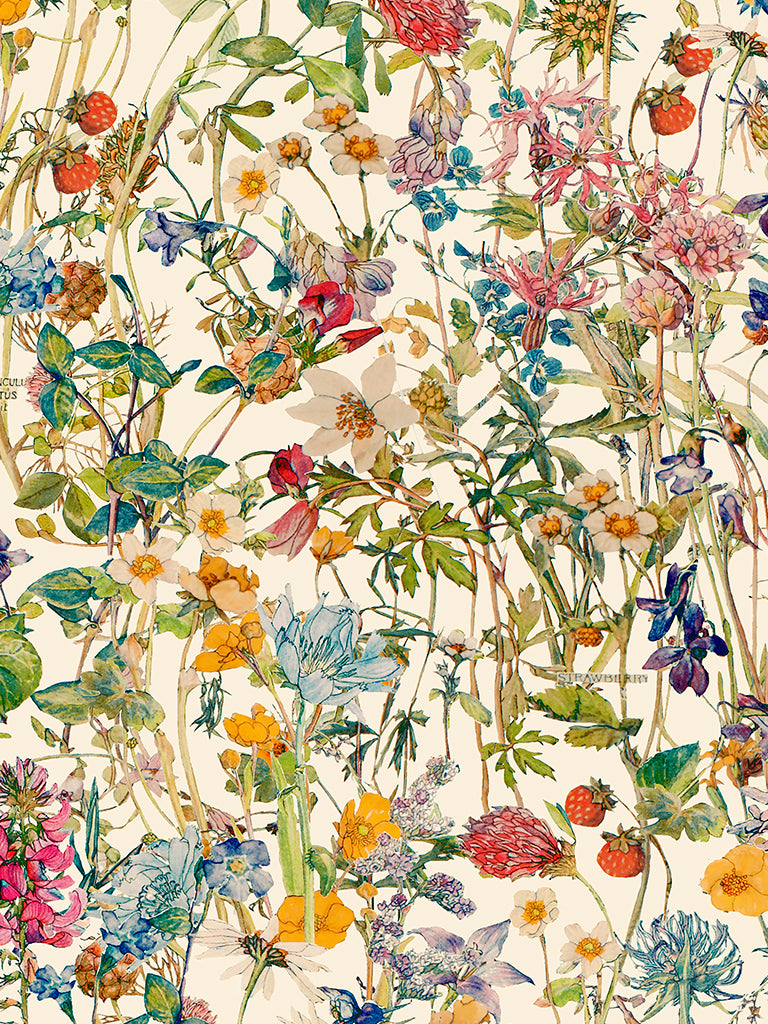 Liberty Tana Lawn© Wild Flowers H-CC