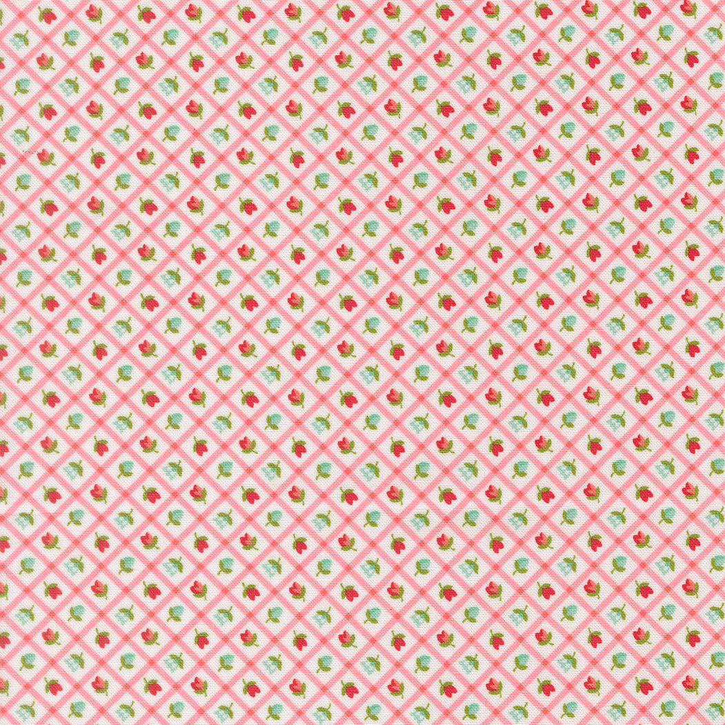 Bloomsberry - Check in Blush