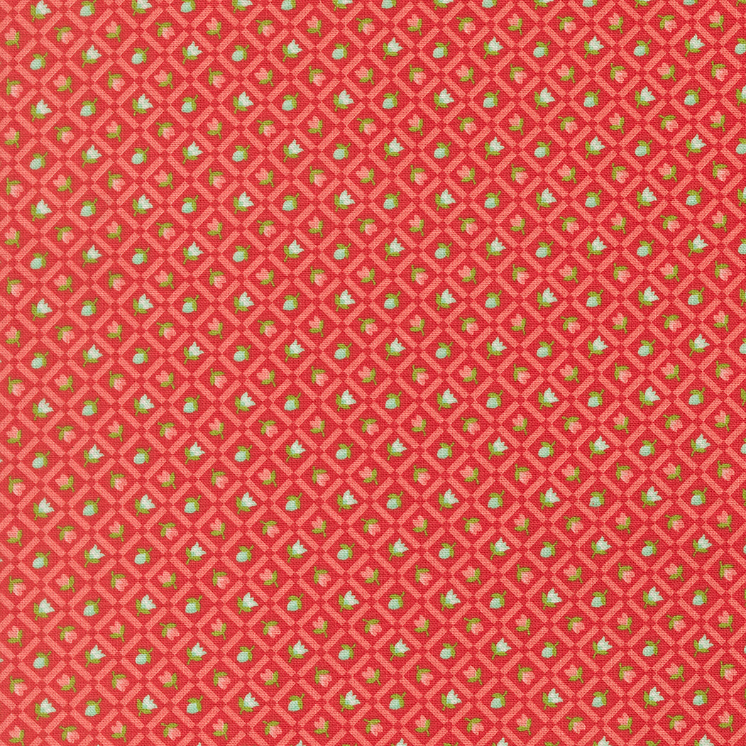 Bloomsberry - Check in Red