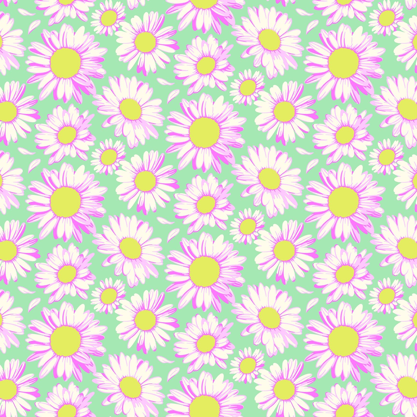 Daisy Crush - Sunshine Daisies in Sky