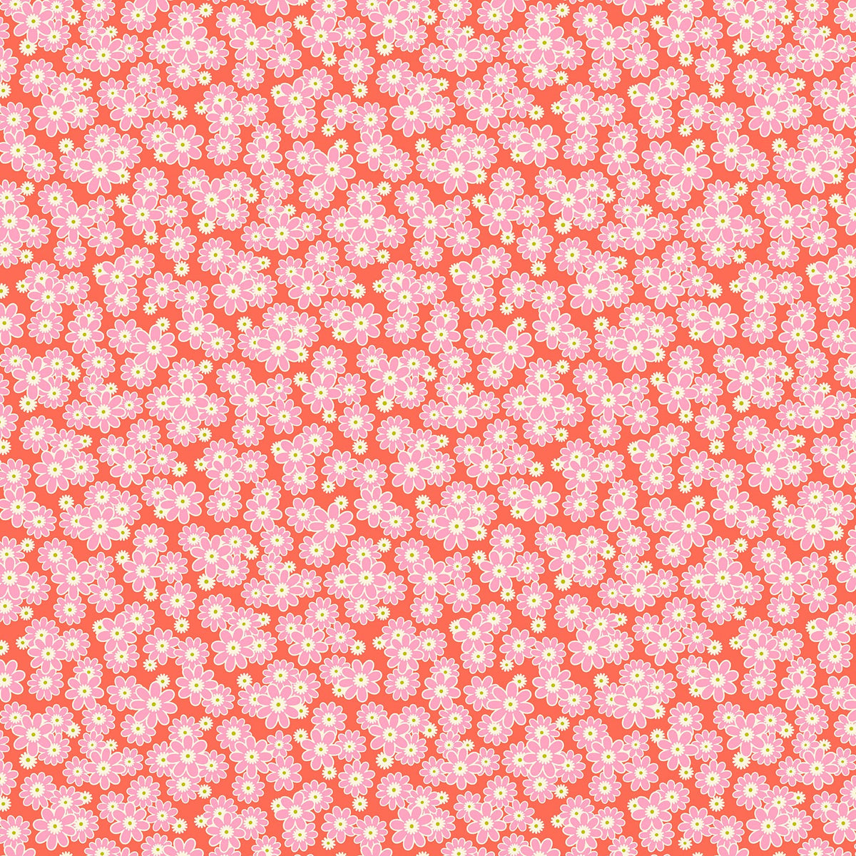 Daisy Crush - Dear Daisy in Clementine