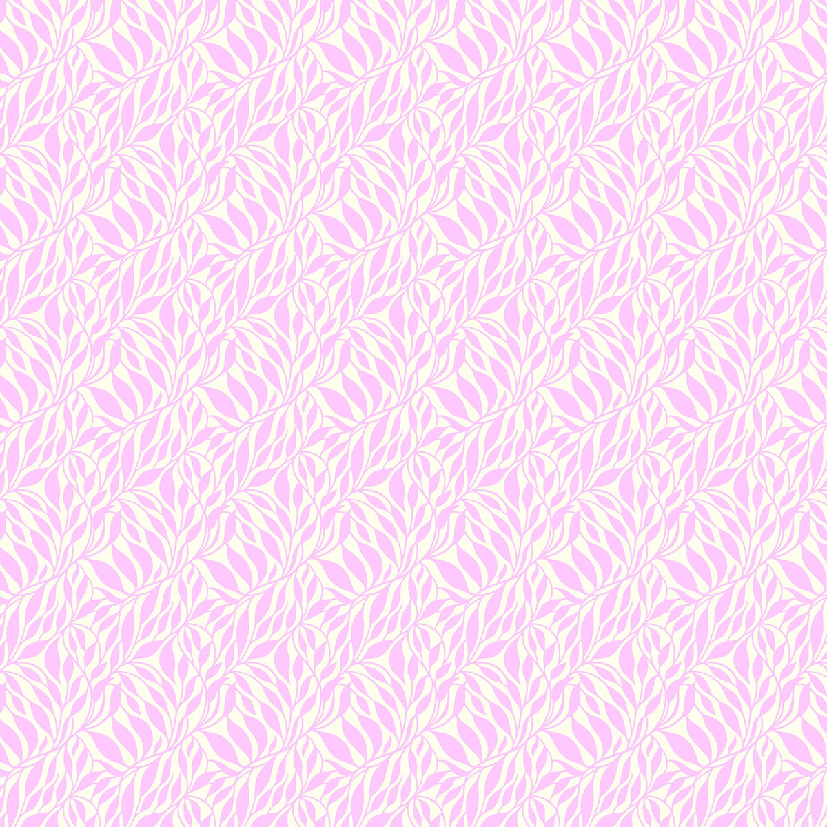 Daisy Crush - Wander in Orchid