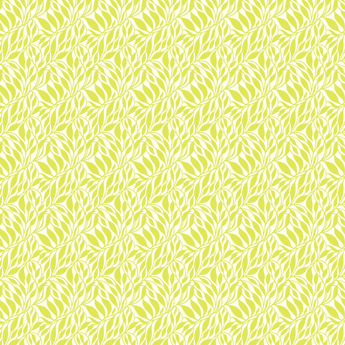 Daisy Crush - Wander in Citrine