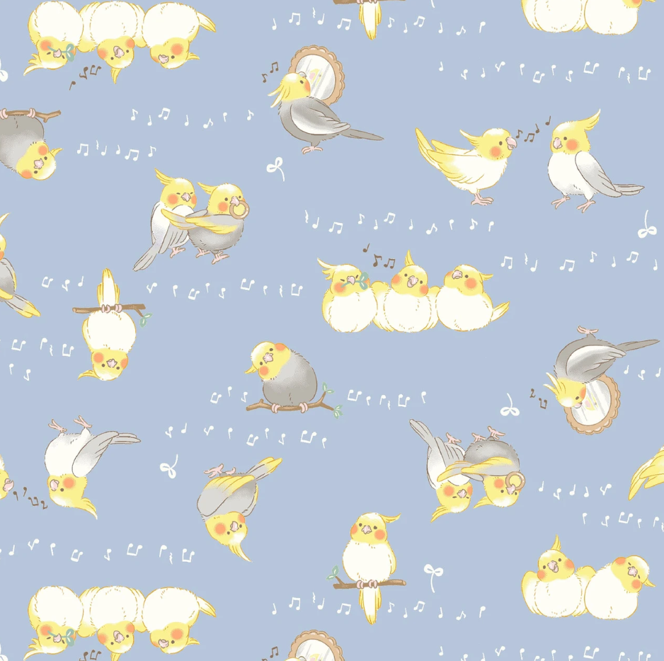 Cosmo - Singing Cockatiels in Blue