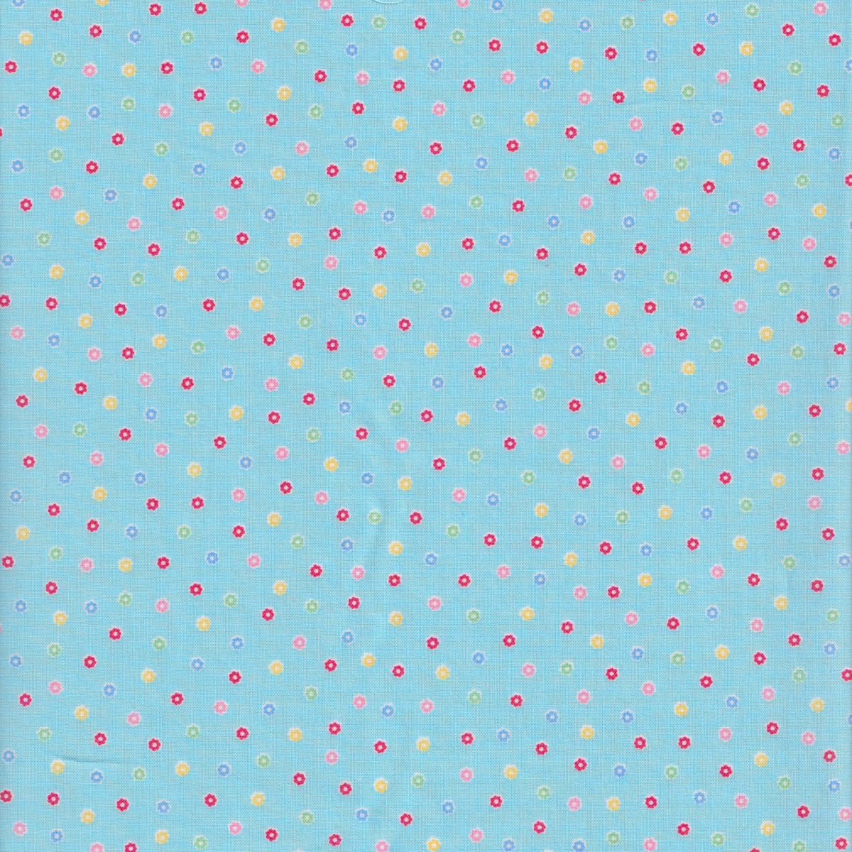 Happy Message - Flower Sprinkles on Blue