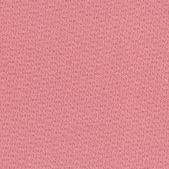 Petra Prins - Pin Dot in Camelia