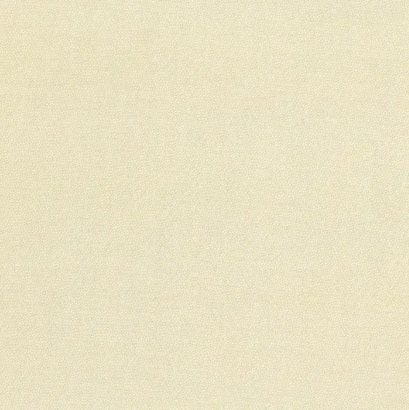 Petra Prins - Pin Dot in Ivory