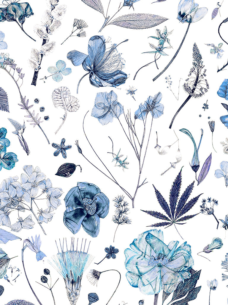 Liberty Tana Lawn© Floral Eve D