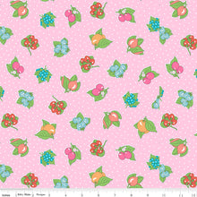 Load image into Gallery viewer, Gifts from the Garden - Polka Fruit C
