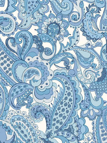 Liberty Tana Lawn© Mr Paisley B