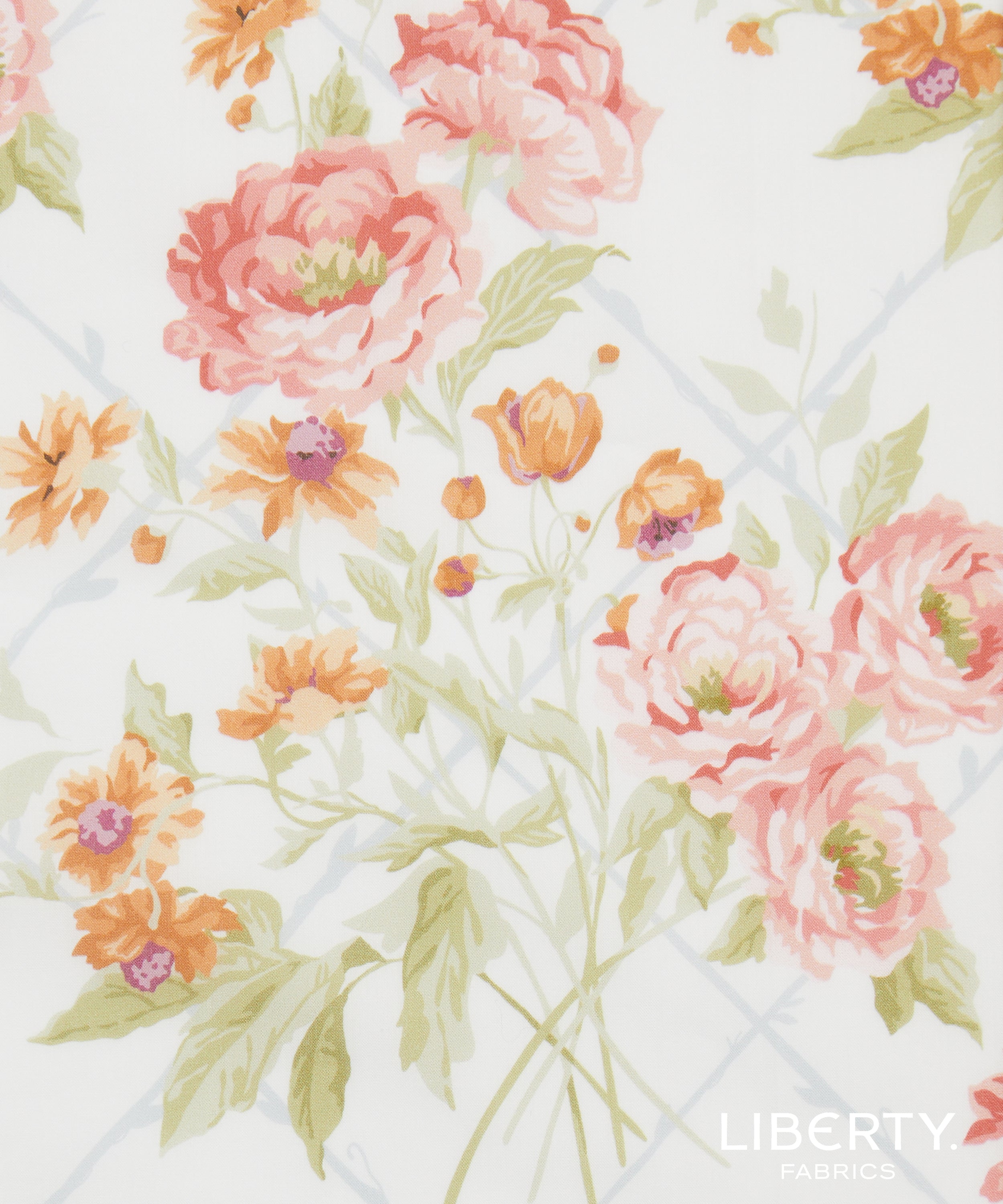 Liberty Tana Lawn© Blenheim Garden A
