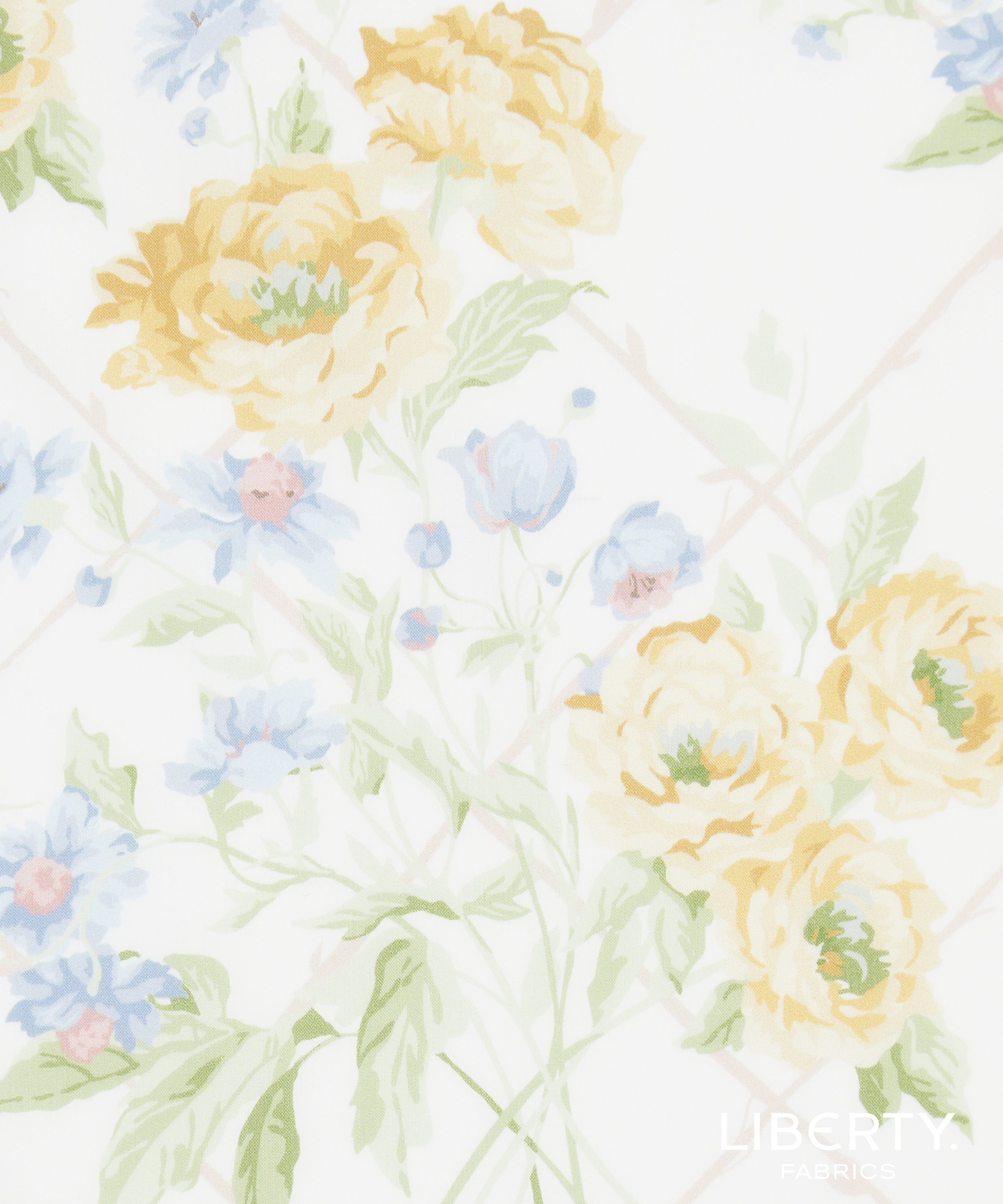 Liberty Tana Lawn© Blenheim Garden B