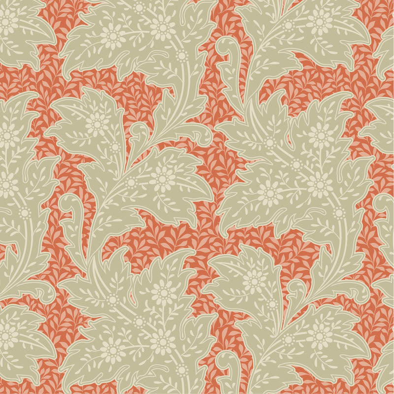 Songbird - Stella in Coral