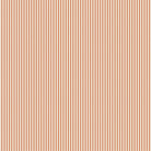 Creating Memories - Tinystripe Cream