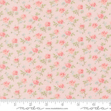 Load image into Gallery viewer, Abide - Field Floral in Pink
