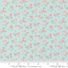 Load image into Gallery viewer, Abide - Field Floral in Light Blue
