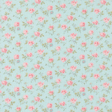 Load image into Gallery viewer, Abide - Field Floral in Light Blue
