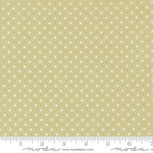 Load image into Gallery viewer, Abide - Dots in Light Green
