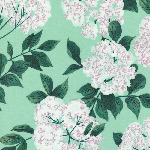 Love Letter - Elderberry Blossoms in Seafoam