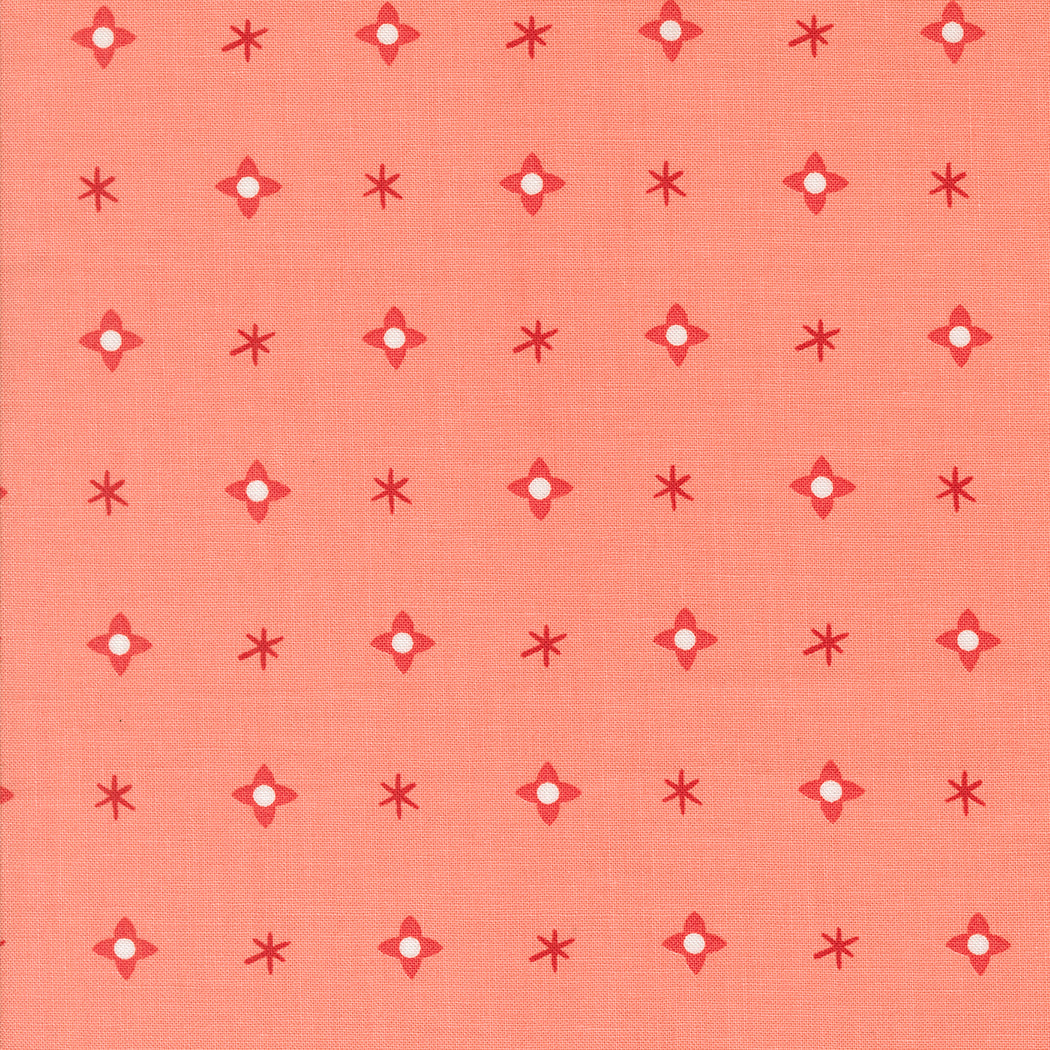 Tiny Christmas - Star Blender Carnation