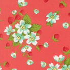 Bloomsberry - In Bloom in Nantucket Red
