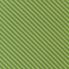 Bloomsberry - Stripe in Green