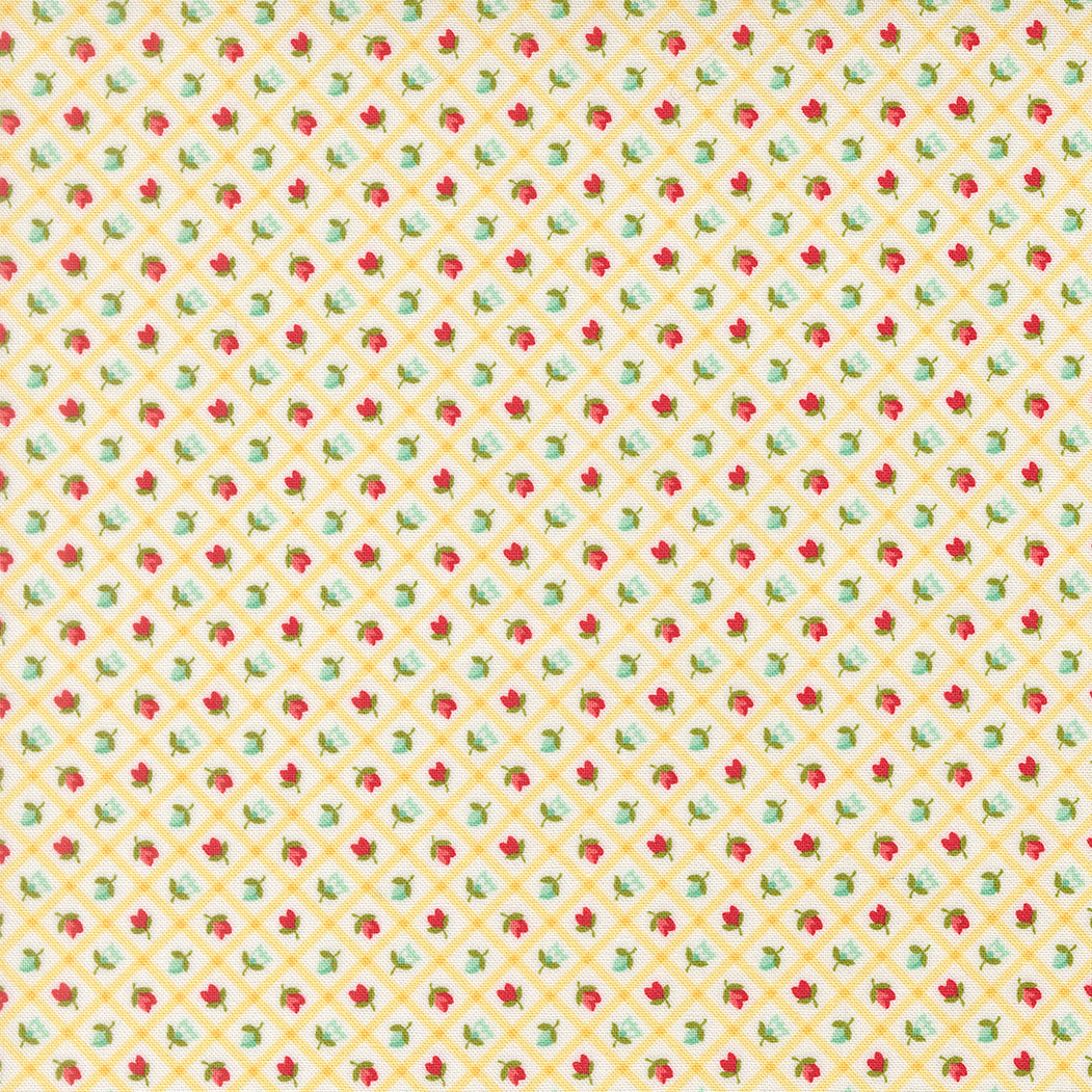 Bloomsberry -  Check in Buttermilk