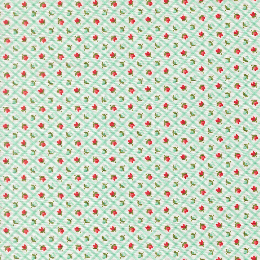 Bloomsberry -  Check in Aqua
