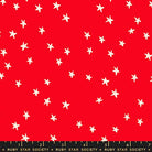 Starry - New Ladybug