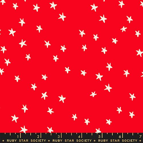 Starry - New Ladybug