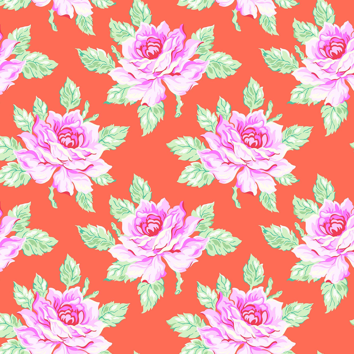 Daisy Crush - Hello Roses in Coral