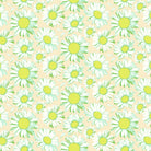 Daisy Crush - Sunshine Daisies in Ivory
