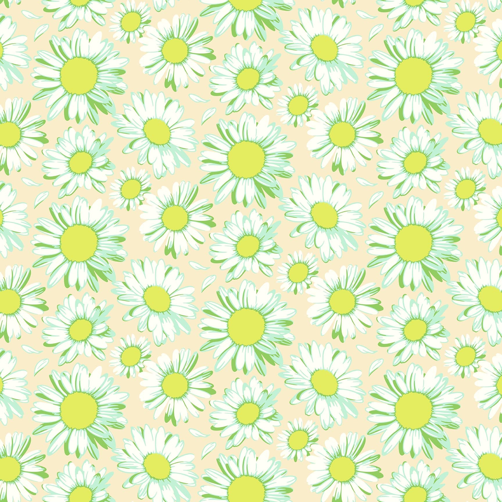 Daisy Crush - Sunshine Daisies in Ivory