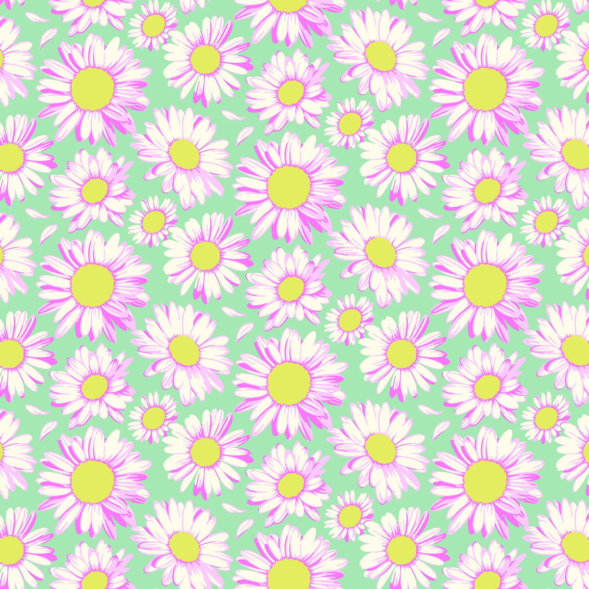 Daisy Crush - Sunshine Daisies in Sky