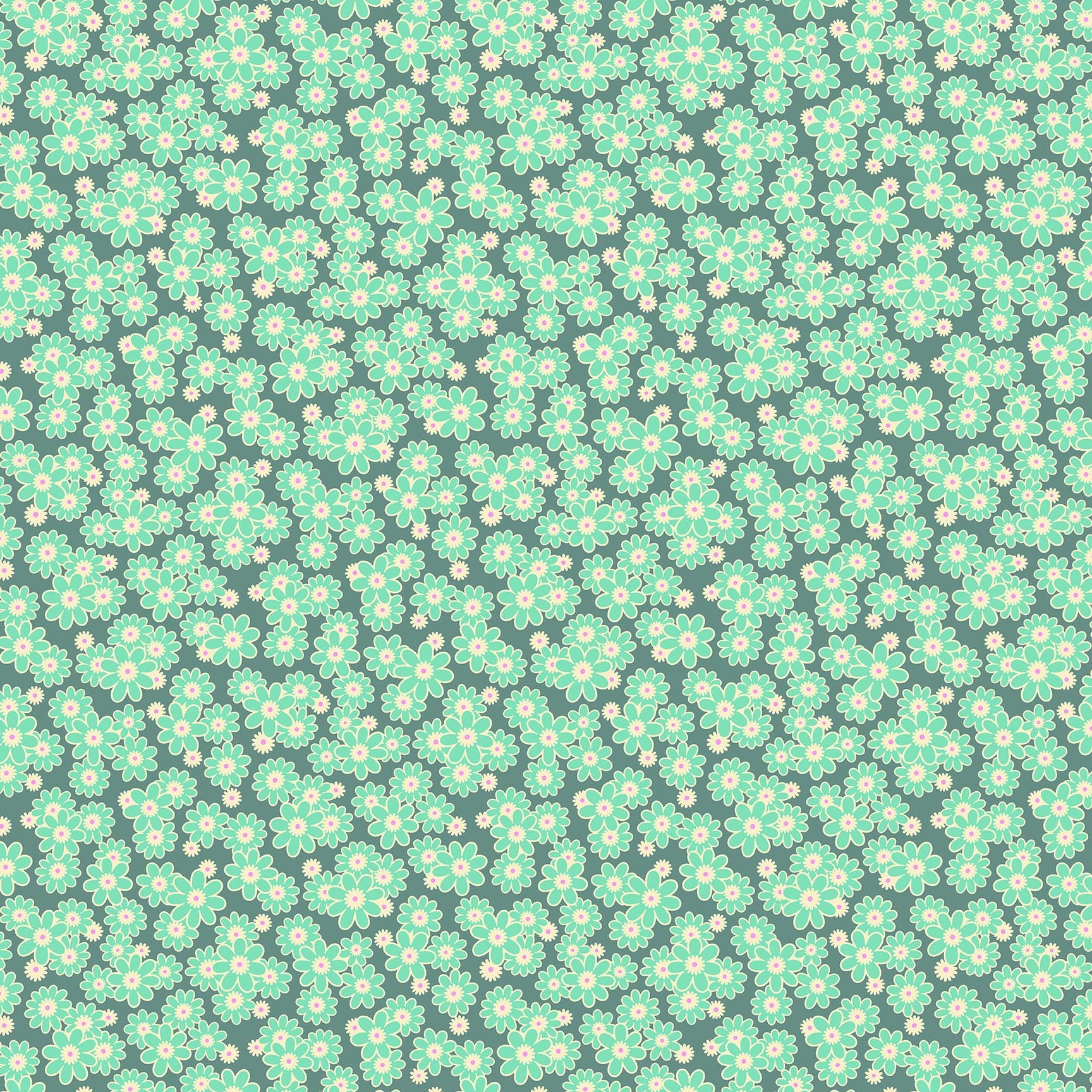 Daisy Crush - Dear Daisy in Slate