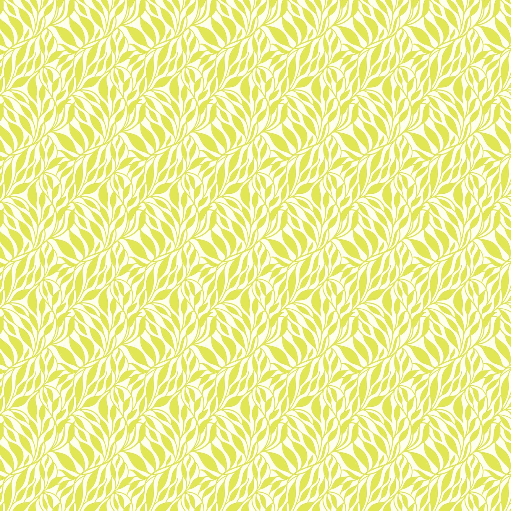Daisy Crush - Wander in Citrine