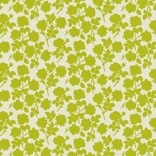 Pop Sugar - Bramble in Olive