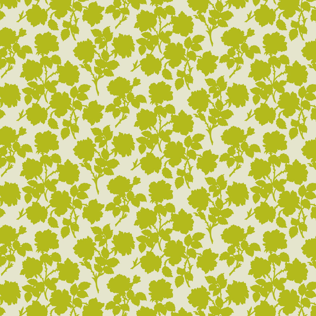 Pop Sugar - Bramble in Olive
