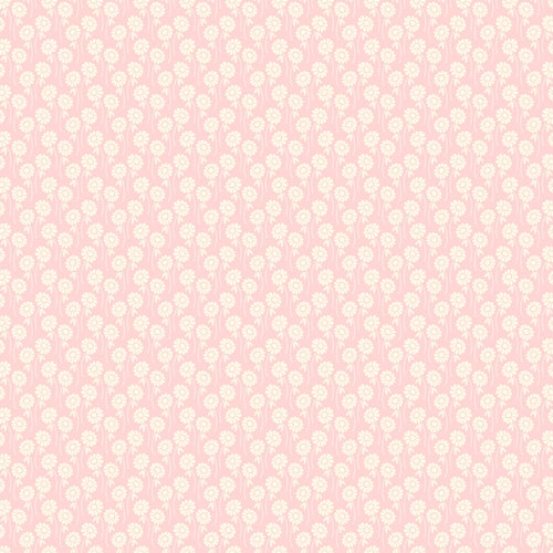 Pop Sugar - Upsy Daisy in Blush
