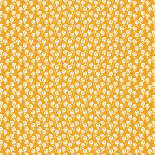Pop Sugar - Upsy Daisy in Butterscotch