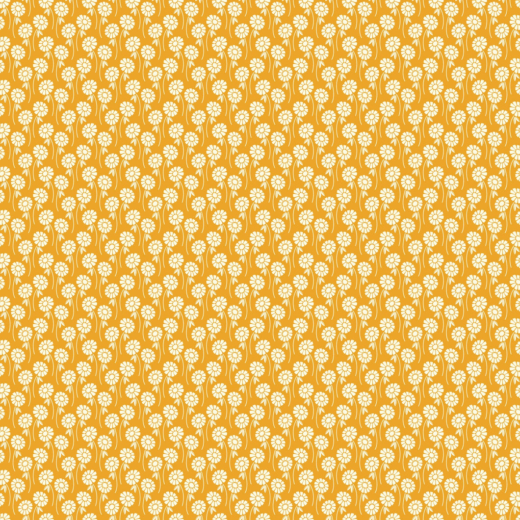 Pop Sugar - Upsy Daisy in Butterscotch