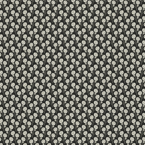 Pop Sugar - Upsy Daisy in Licorice