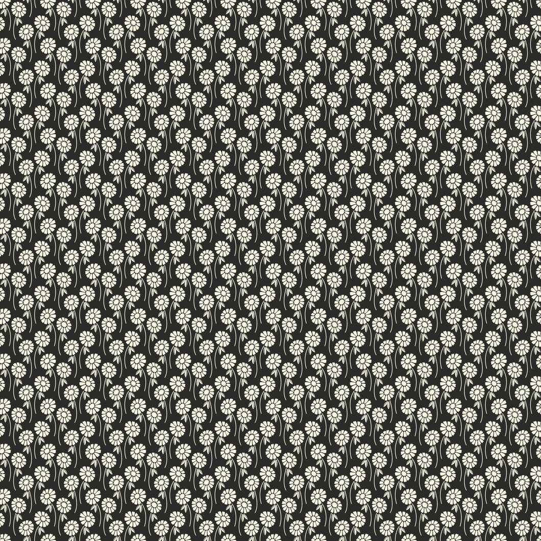 Pop Sugar - Upsy Daisy in Licorice