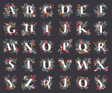 Load image into Gallery viewer, Adventale - Jingle All the Letters Panel
