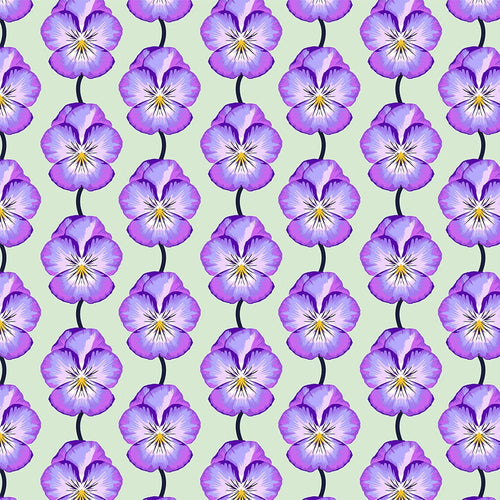 Iconic - Pansy in Lavender