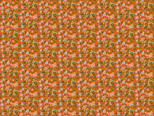 Load image into Gallery viewer, Jumpstart - Silene in Tangerine
