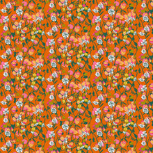 Load image into Gallery viewer, Jumpstart - Silene in Tangerine
