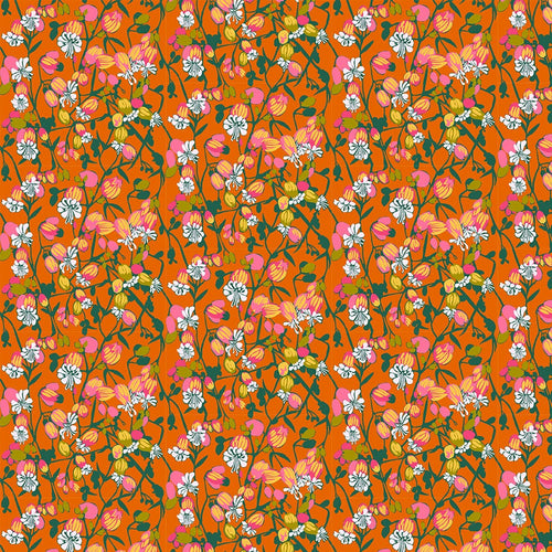Jumpstart - Silene in Tangerine