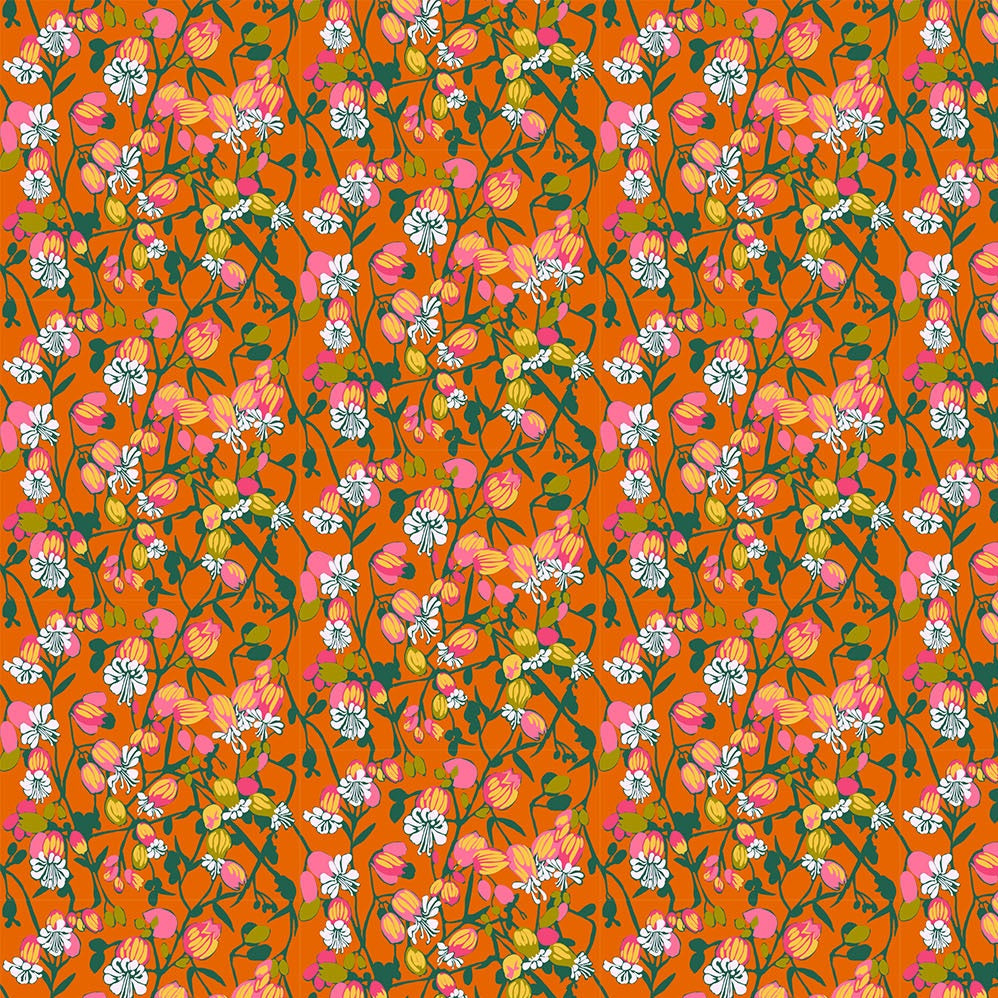 Jumpstart - Silene in Tangerine