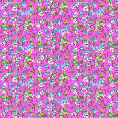 Jumpstart - Silene in Fuchsia